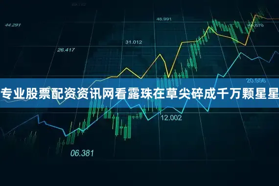 专业股票配资资讯网看露珠在草尖碎成千万颗星星