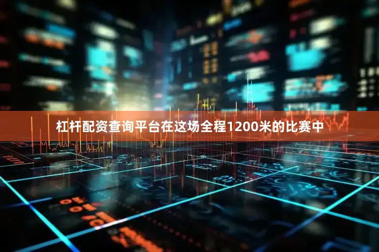 杠杆配资查询平台在这场全程1200米的比赛中